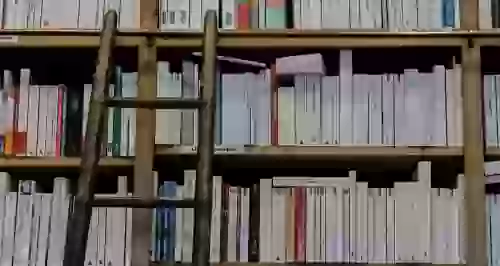 Особые книжные магазины Петербурга
