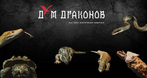 Выставка экзотических животных «Дом драконов»