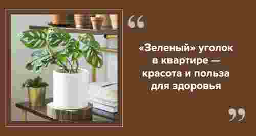 7 секретов здорового микроклимата в доме