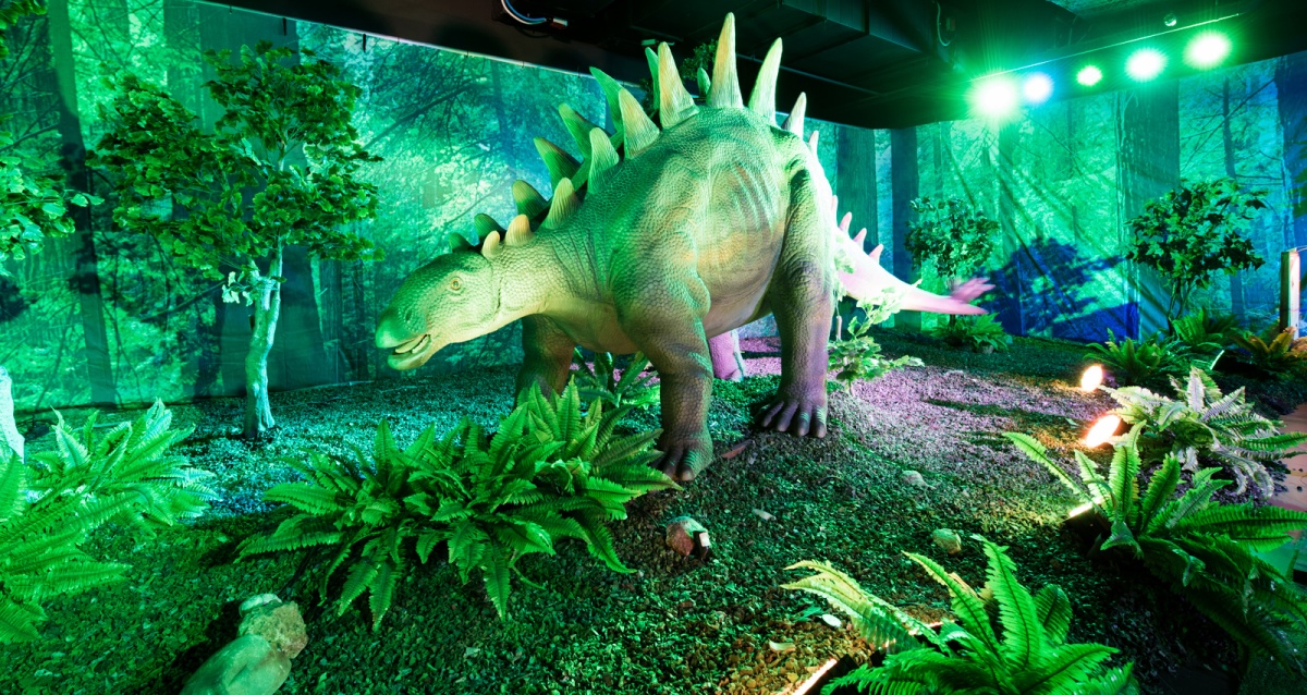 DINO CLUB